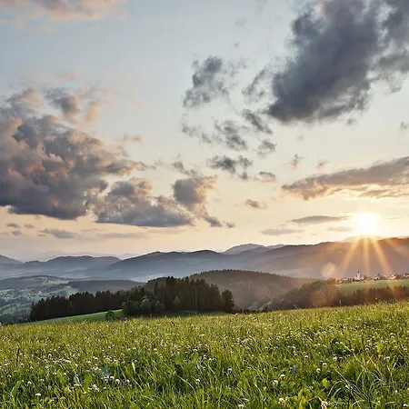 Der Wilde Eder Sankt Kathrein am Offenegg