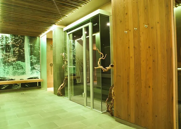 Hotel Der Wilde Eder 4*