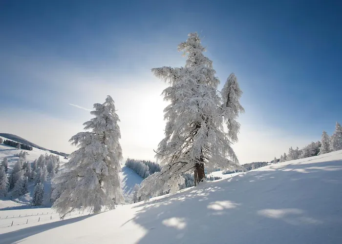 ホテル Der Wilde Eder